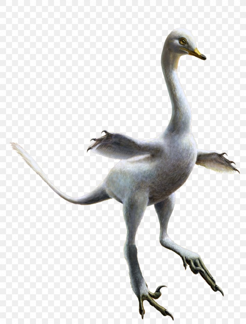 Halszkaraptor Velociraptor Penguin Dinosaur Gorgosaurus, PNG, 1293x1702px, Halszkaraptor, Beak, Bird, Crane, Crane Like Bird Download Free