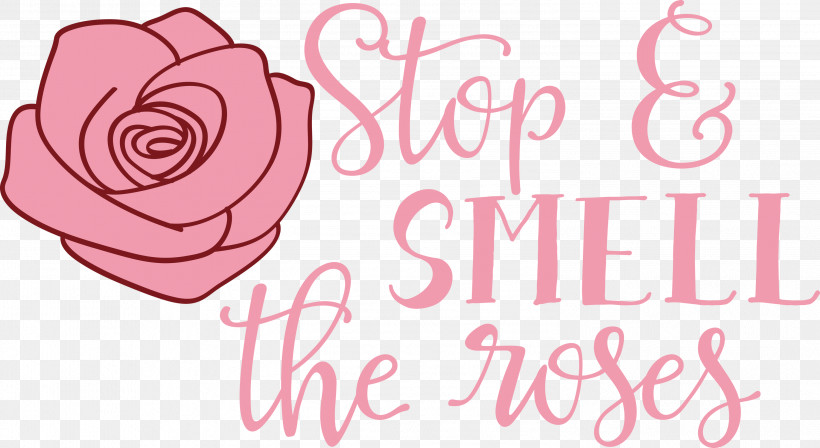 Rose Stop And Smell The Roses, PNG, 2999x1642px, Rose, Cut Flowers, Floral Design, Garden, Garden Roses Download Free