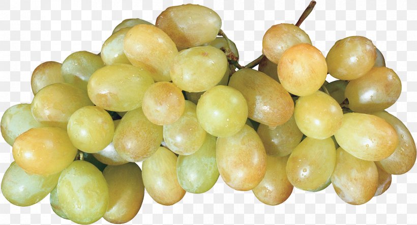 Wine Common Grape Vine Basilico Fruit, PNG, 1200x648px, Wine, Amazon Grape, Auglis, Basilico, Common Grape Vine Download Free