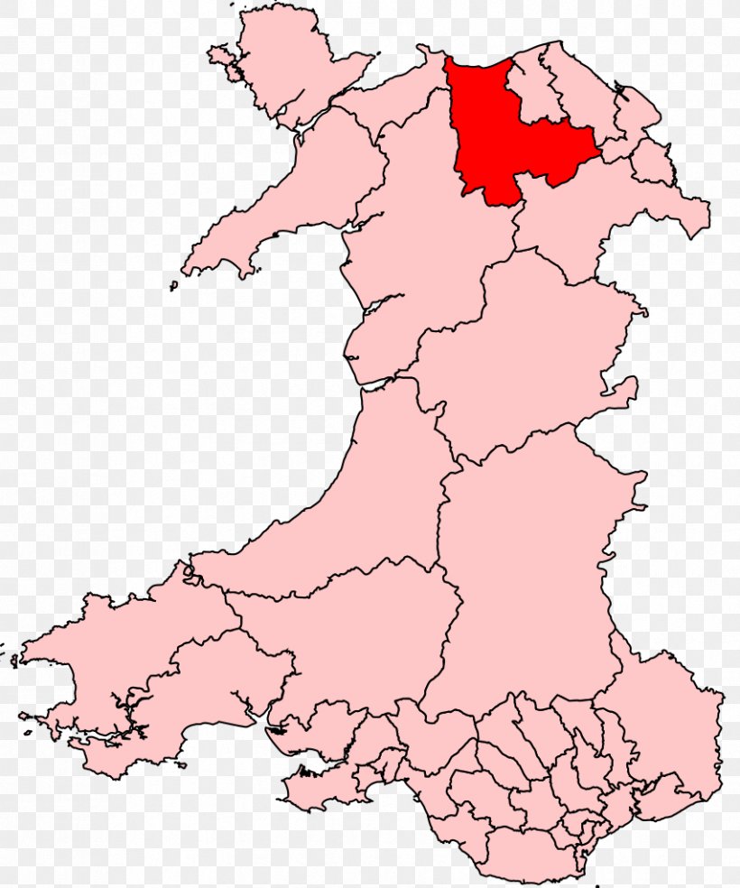 Aberconwy Rhondda United Kingdom General Election, 2010 Parliament Of The United Kingdom, PNG, 853x1024px, Conwy, Area, Ecoregion, Election, Electoral District Download Free