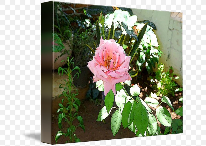 Floral Design Garden Pink M Shrub, PNG, 650x585px, Floral Design, Annual Plant, Flora, Floristry, Flower Download Free