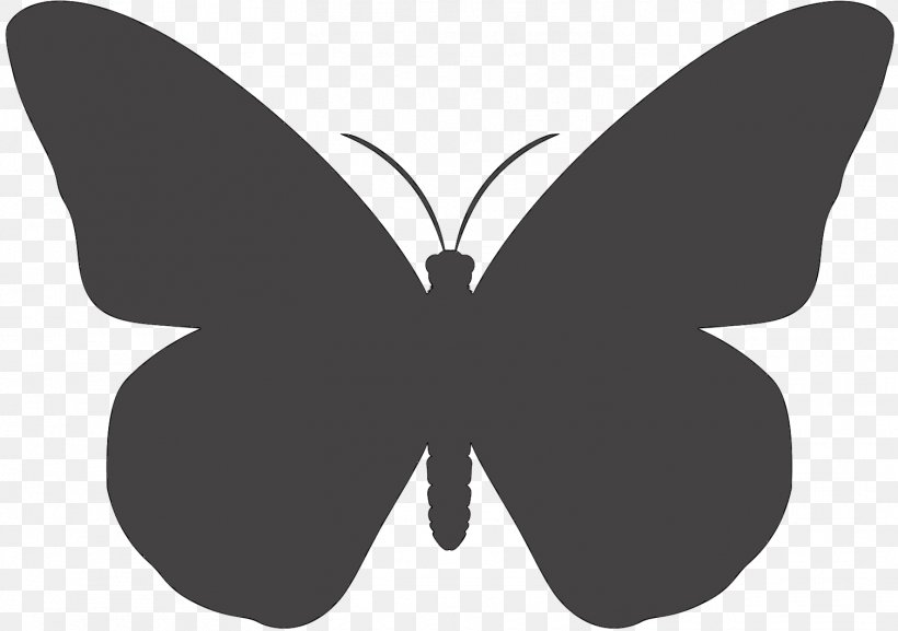 Monarch Butterfly Insect Vector Graphics Clip Art, PNG, 1507x1061px, Butterfly, Blackandwhite, Caterpillar, Eastern Tiger Swallowtail, Insect Download Free