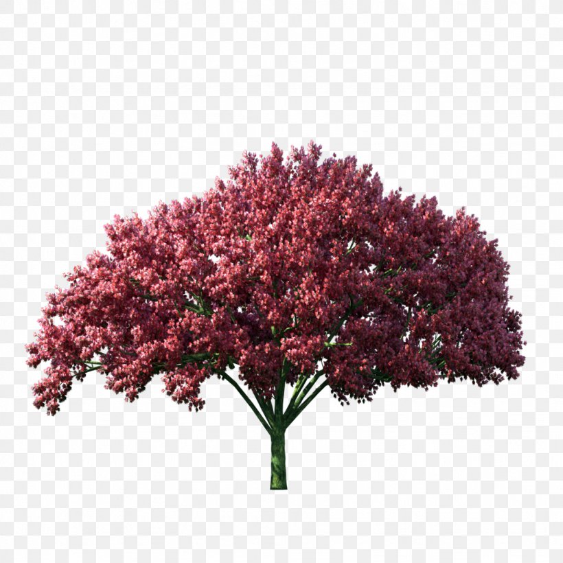 Tree Computer Graphics, PNG, 1024x1024px, Tree, Autumn, Computer Graphics, Flower, Pink Download Free