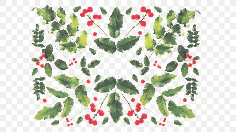 Floral Design Leaf Aquifoliales Circle Pattern, PNG, 646x458px, Floral Design, Aquifoliaceae, Aquifoliales, Border, Flora Download Free