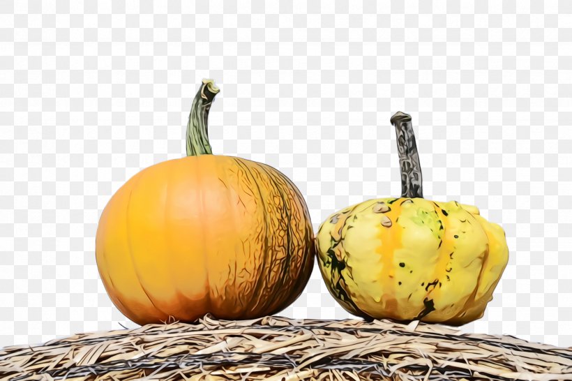 Pumpkin, PNG, 2448x1632px, Watercolor, Calabaza, Cucurbita, Food, Fruit Download Free