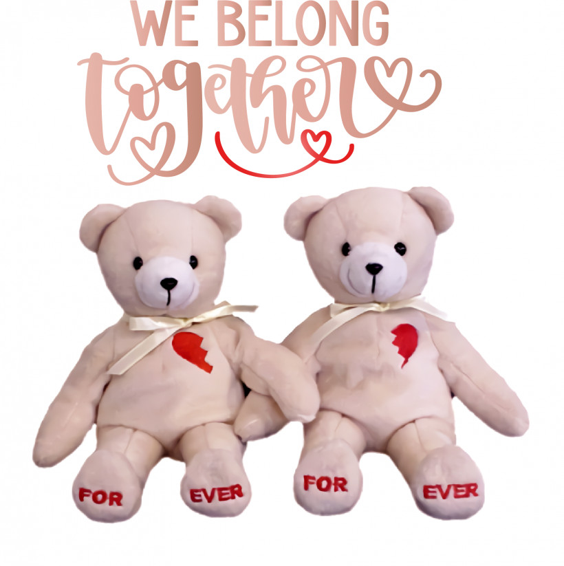 Teddy Bear, PNG, 1668x1675px, Bears, Best Friend Bear, Care Bears, Forever Friends, Friend Bear Download Free