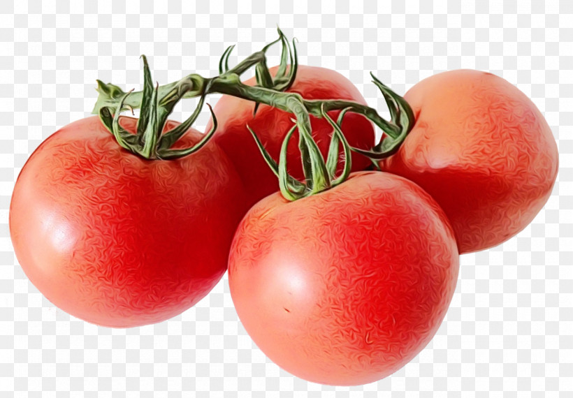 Tomato, PNG, 1280x890px, Watercolor, Bush Tomato, Cuisine, Eggplant, Fruit Download Free