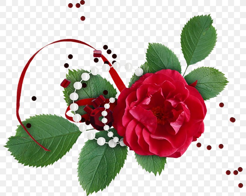 Flower Rose Download Clip Art, PNG, 800x652px, Flower, Floral Design, Floristry, Flower Arranging, Flowering Plant Download Free