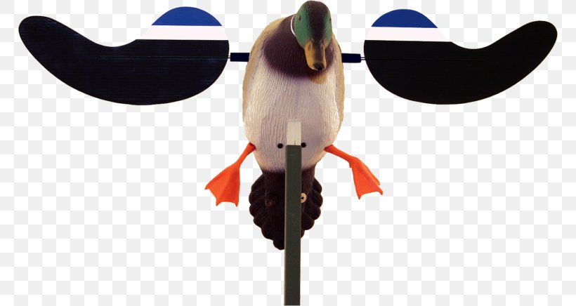 Mallard Duck Decoy Duck Decoy Hunting, PNG, 768x436px, Mallard, Beak, Bird, Decoy, Duck Download Free