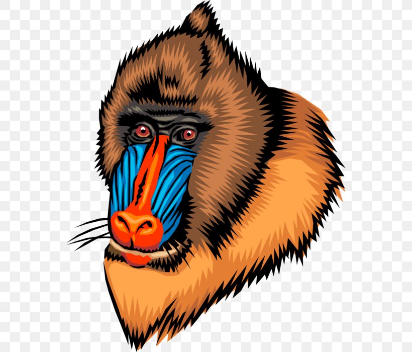 Ape Mandrill Primate Baboons Gorilla, PNG, 556x700px, Ape, Art, Baboons, Drill, Gorilla Download Free