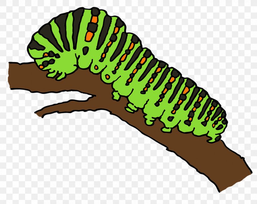 Caterpillar Butterfly Worm Clip Art, PNG, 903x720px, Caterpillar, Animaatio, Butterflies And Moths, Butterfly, Cartoon Download Free
