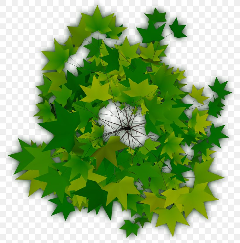 Top Tree, PNG, 800x830px, Tree, Binary Tree, Computer Software, Deciduous, Dwg Download Free