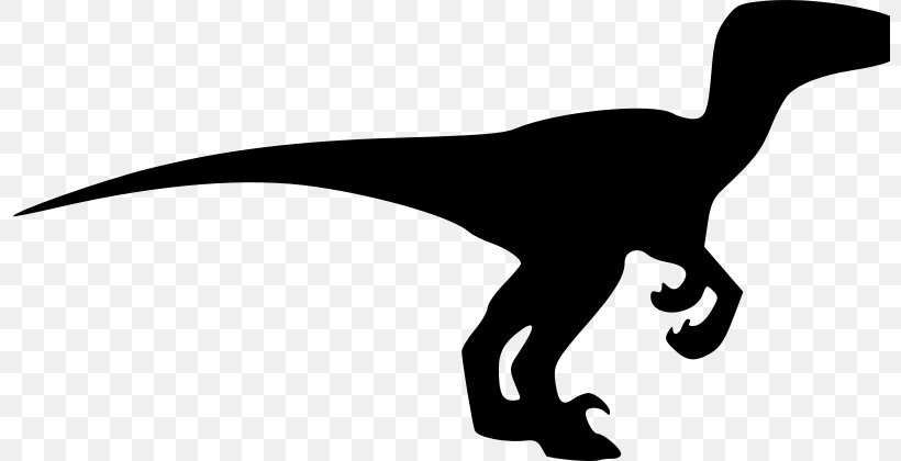 Velociraptor Drawing Dinosaur Silhouette Clip Art, PNG, 800x420px, Velociraptor, Art, Beak, Bird, Black And White Download Free