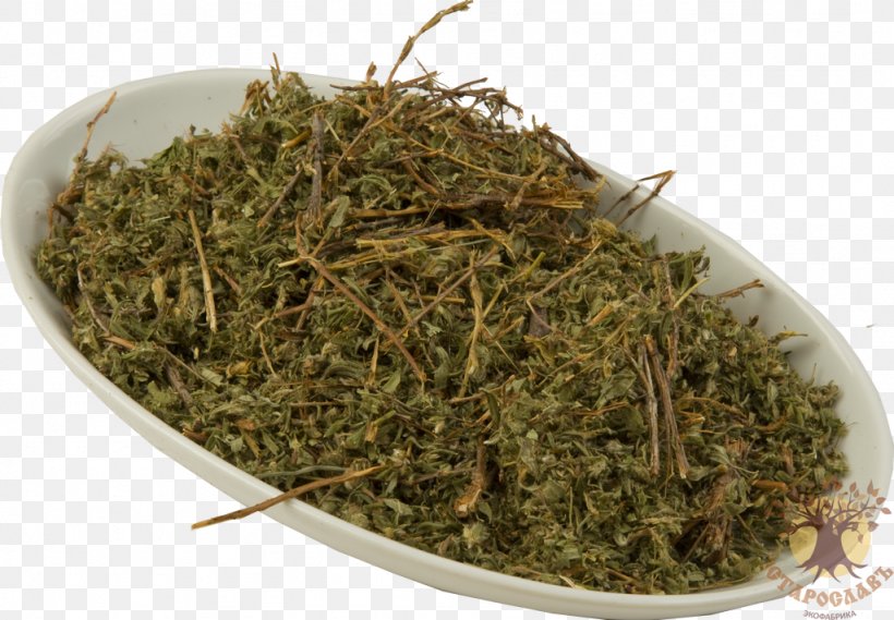 Prostrate Knotweed Redshank Herb Raw Material Tea, PNG, 1024x711px, Redshank, Berdsk, Biluochun, Disease, Herb Download Free