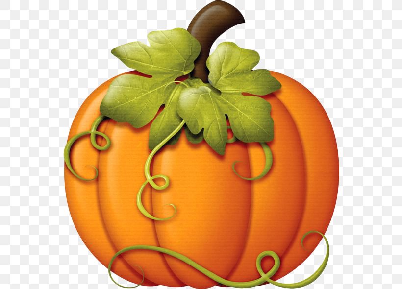 Autumn Pumpkin Thanksgiving Clip Art, PNG, 564x590px, Autumn, Autumn Leaf Color, Blog, Calabaza, Cucurbita Download Free