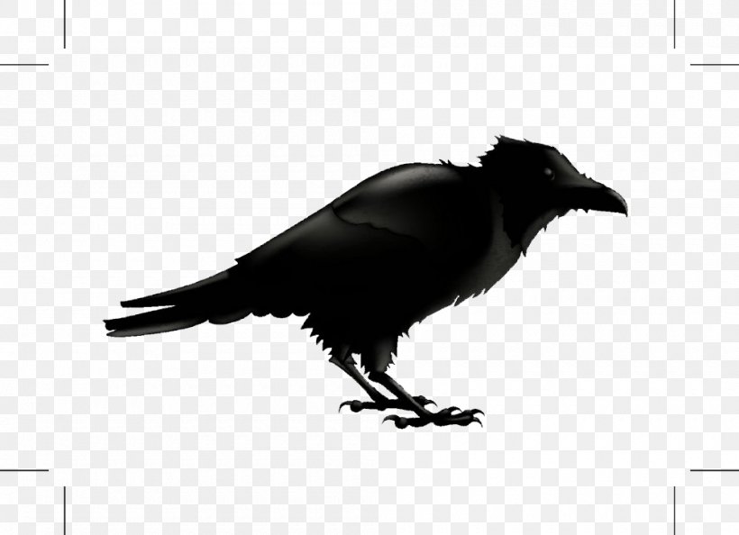 Common Raven Silhouette Stock Photography Illustration, PNG, 1000x725px, Common Raven, American Crow, Art, Beak, Bird Download Free