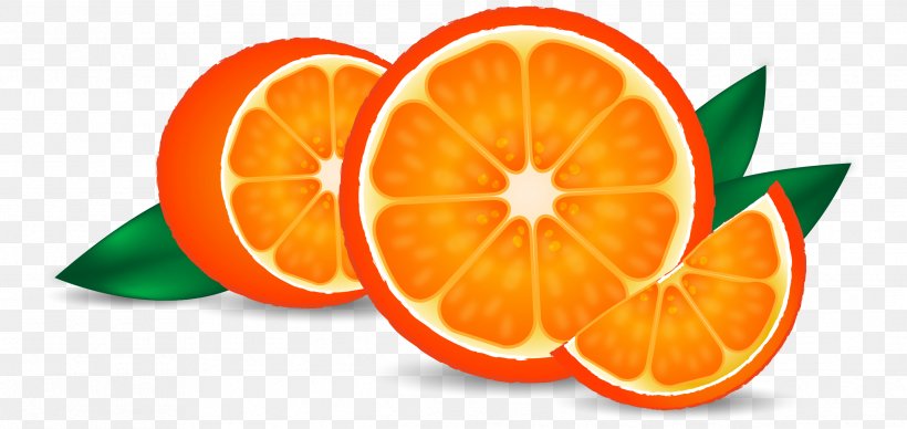 Orange Juice Tangerine Orange Drink, PNG, 2486x1178px, Orange Juice, Bitter Orange, Citric Acid, Citrus, Diet Food Download Free