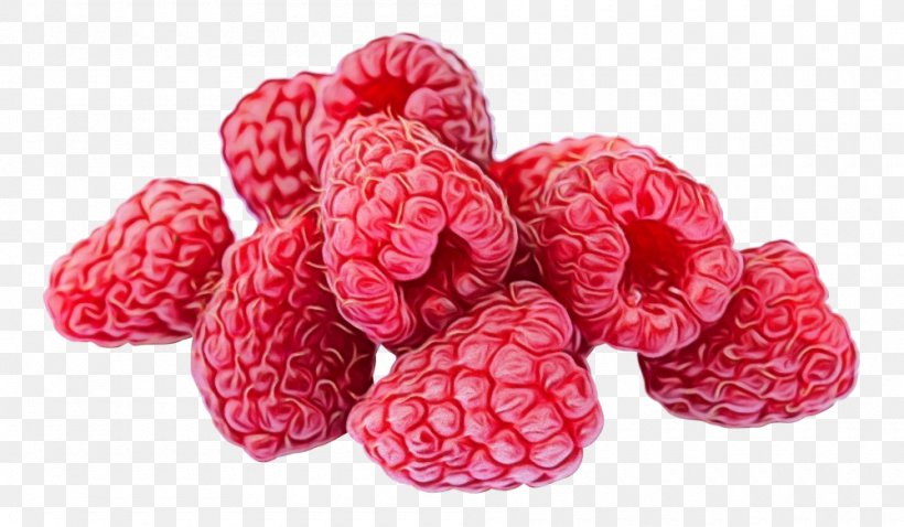 Raspberry Berry Fruit Food Superfood, PNG, 1000x584px, Watercolor, Berry, Blackberry, Food, Fruit Download Free