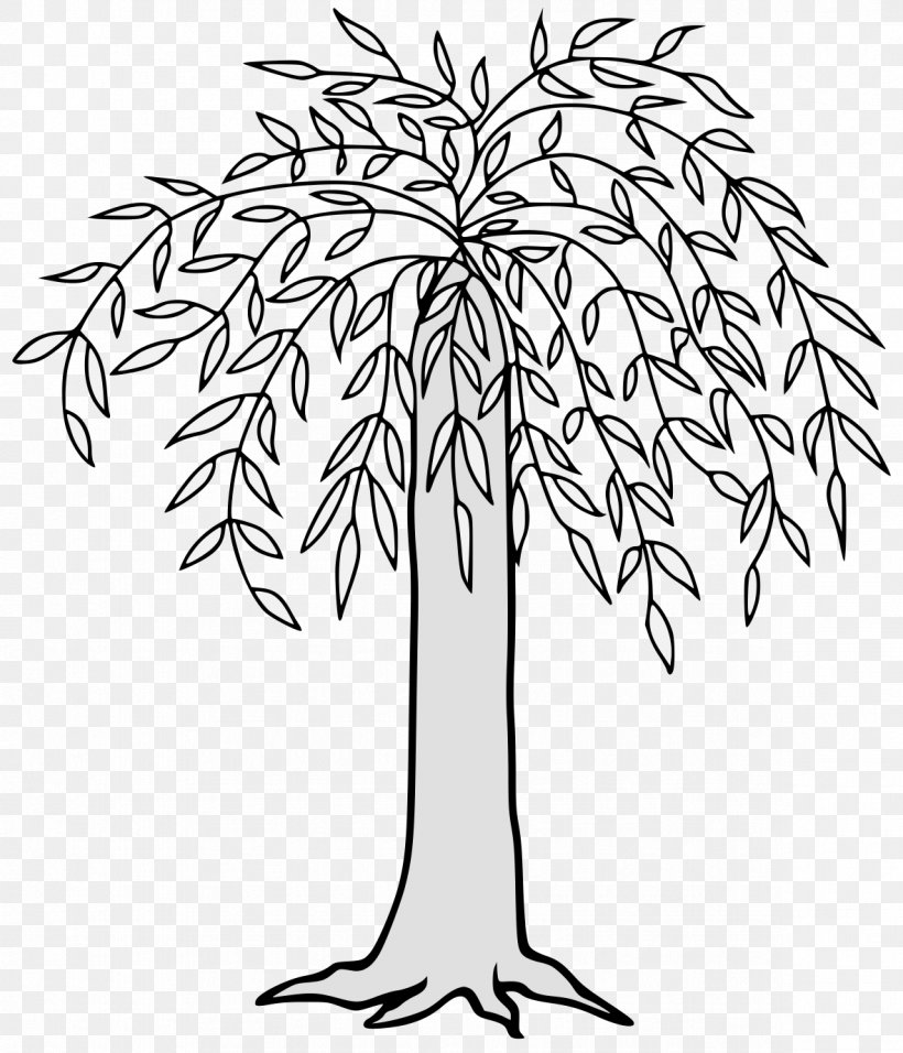 Weeping Willow Tree Drawing, PNG, 1181x1378px, Twig, Arecales, Blackandwhite, Branch, Coloring Book Download Free