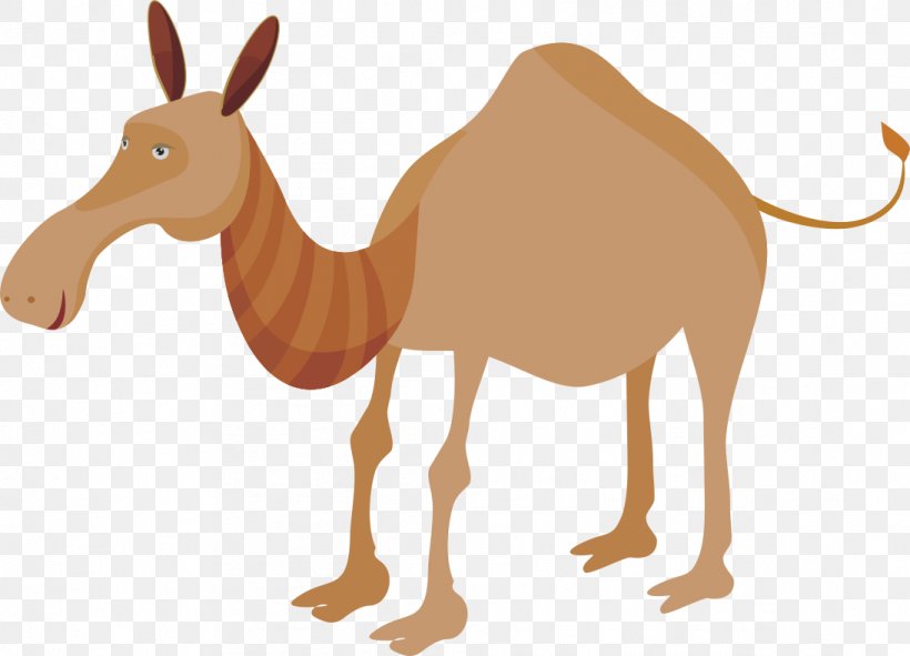 Dromedary Horse Pack Animal Fauna Wildlife, PNG, 1094x789px, Dromedary, Animal, Arabian Camel, Camel, Camel Like Mammal Download Free