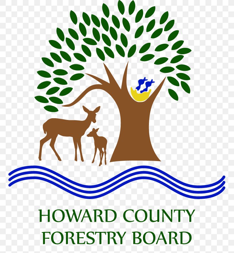Howard County Forestry Board Forest Management Logo, PNG, 761x886px, Forestry, Area, Artwork, Branch, Brand Download Free