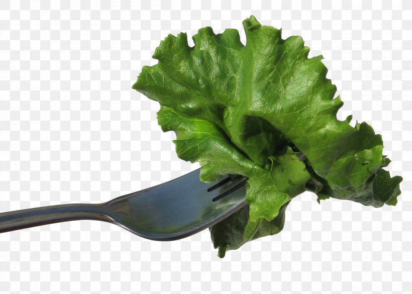 Lettuce Vegetable Salad Food Eating, PNG, 2416x1724px, Lettuce, Arugula, Condiment, Cucumber, Diabetes Mellitus Download Free
