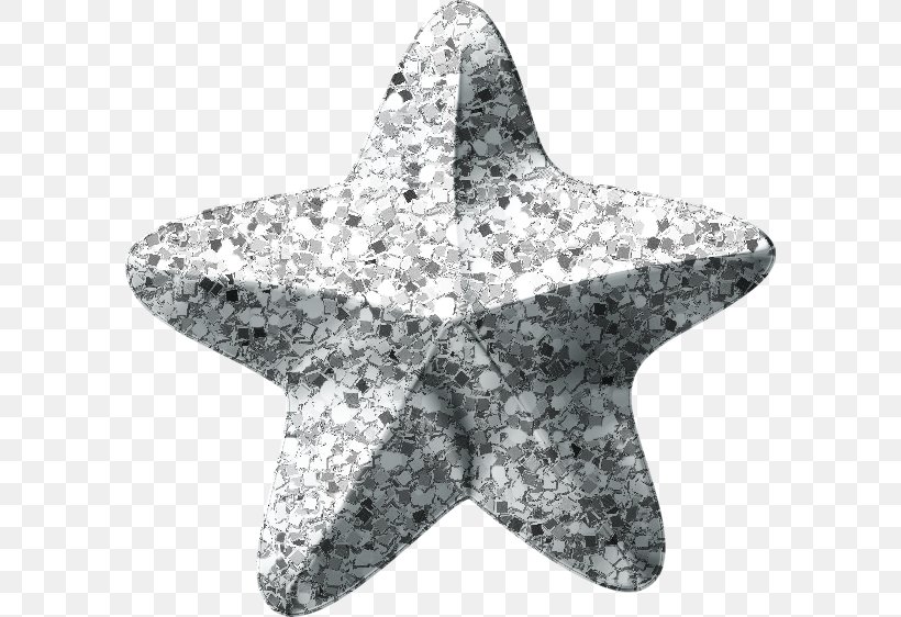 Starfish, PNG, 592x562px, Starfish, Marine Invertebrates Download Free