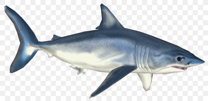 Isurus Oxyrinchus Requiem Shark Tiger Shark Great White Shark Clip Art, PNG, 1024x500px, Isurus Oxyrinchus, Animal Figure, Bull Shark, Carcharhiniformes, Cartilaginous Fish Download Free