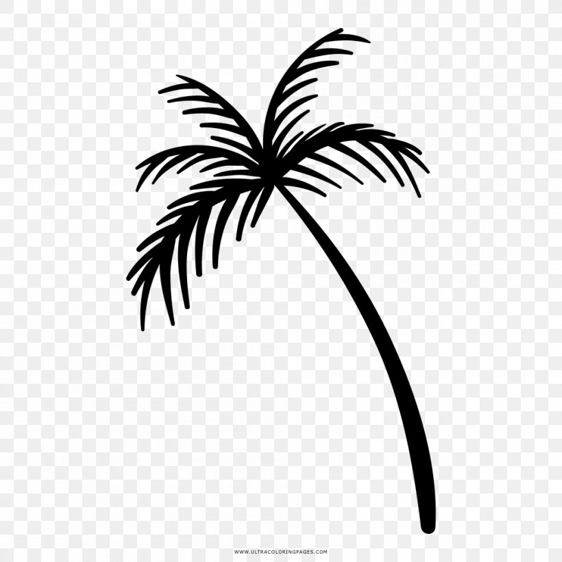 Arecaceae Drawing Coloring Book Cafe Loka, PNG, 1000x1000px, Arecaceae, Arecales, Black And White, Book, Branch Download Free