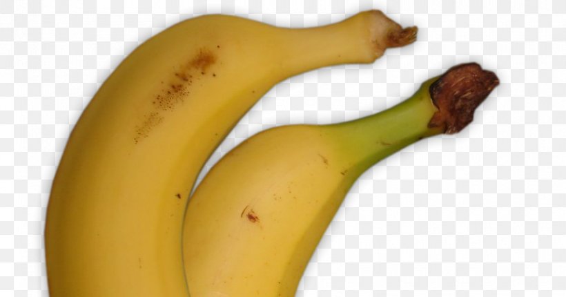 Banana, PNG, 850x446px, Banana, Banana Family, Food, Fruit, Plant Download Free