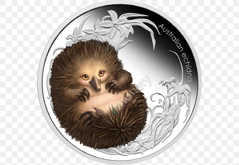 Platypus Anteater Perth Mint Short-beaked Echidna, PNG, 566x566px, Platypus, Anteater, Australia, Bush, Coin Download Free