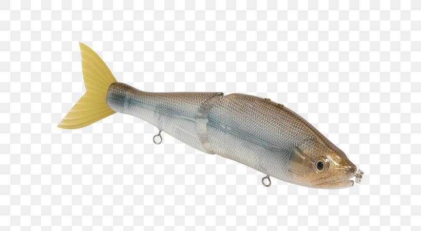 Spoon Lure Milkfish Osmeriformes Herring Oily Fish, PNG, 600x450px, Spoon Lure, Bait, Bonyfish, Fauna, Fish Download Free