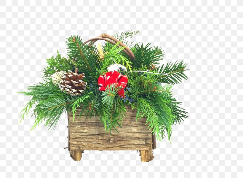 Spruce Balsam Fir Fraser Fir Pine Wreath, PNG, 800x600px, Spruce, Balsam Fir, Box, Branch, Christmas Download Free