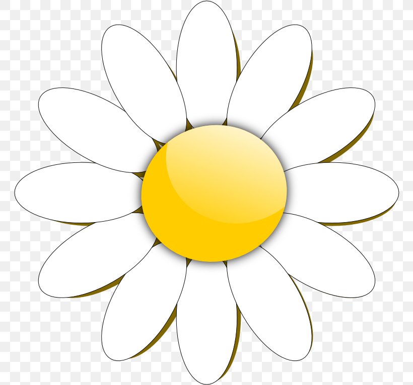 Clip Art Vector Graphics Free Content Common Daisy, PNG, 766x766px, Common Daisy, Camomile, Chamomile, Daisy, Daisy Bell Download Free