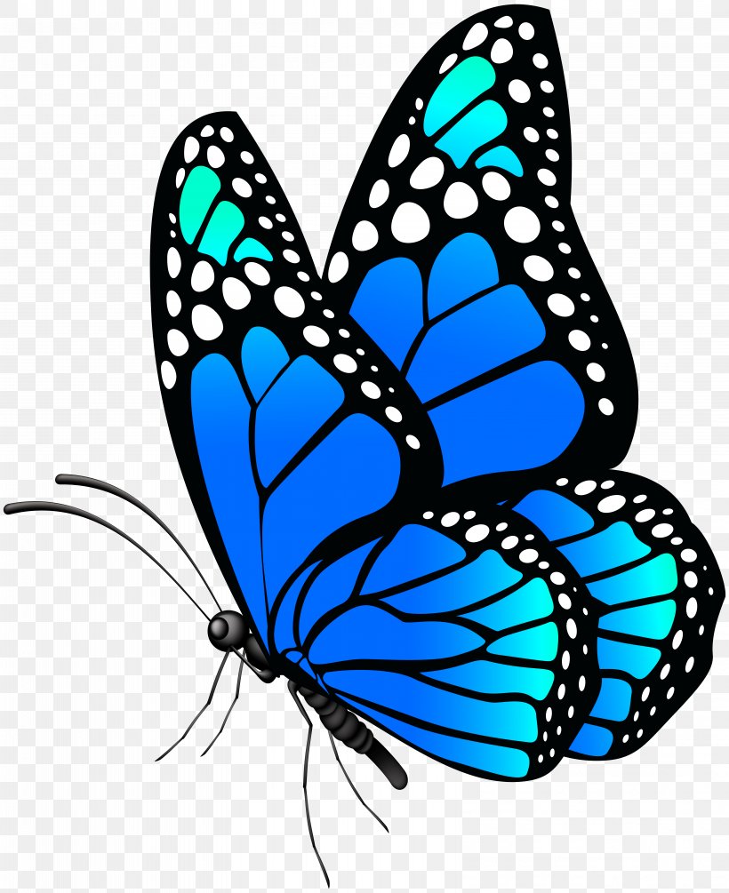 Monarch Butterfly Menelaus Blue Morpho Clip Art, PNG, 6521x8000px, Monarch Butterfly, Artwork, Blue, Brush Footed Butterfly, Brushfooted Butterflies Download Free