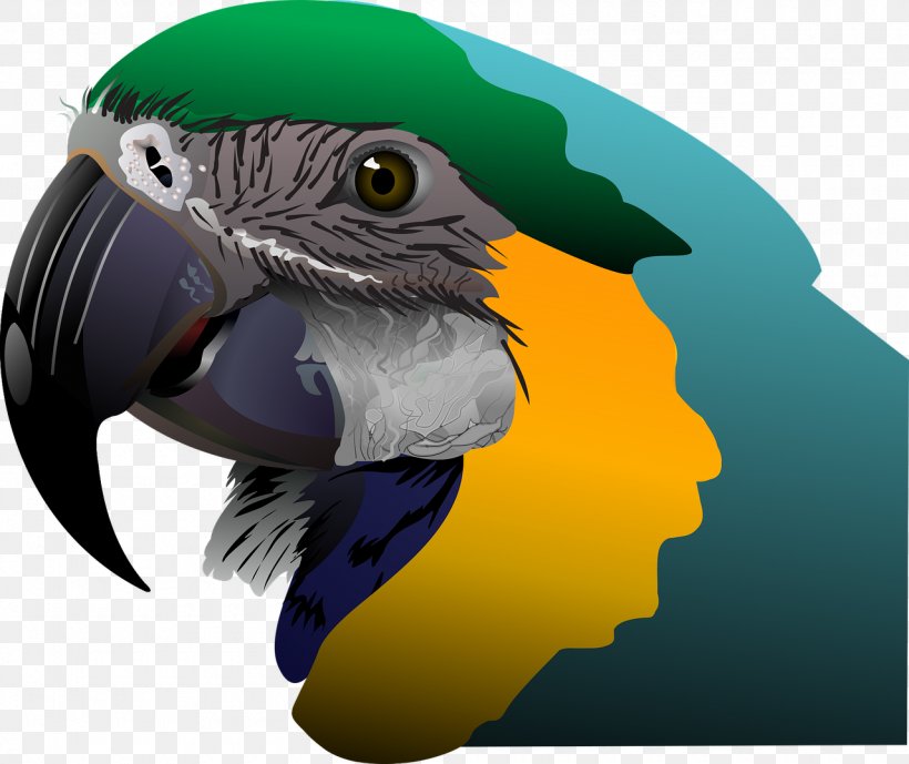 Parrot Bird Clip Art, PNG, 1280x1077px, Parrot, Beak, Bird, Fauna, Library Download Free