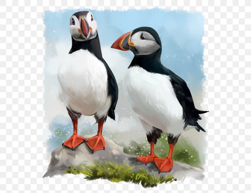 Watercolor Painting Stock Photography Vector Graphics Image, PNG, 600x629px, Painting, Art, Atlantic Puffin, Auk, Beak Download Free