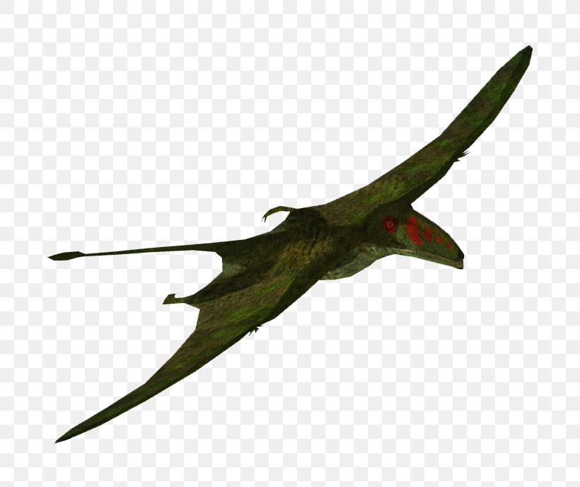 Zoo Tycoon 2 Dimorphodon Pterosaurs Stegosaurus Ankylosaurus, PNG, 688x688px, Zoo Tycoon 2, Ankylosaurus, Apatosaurus, Bird, Dimorphodon Download Free