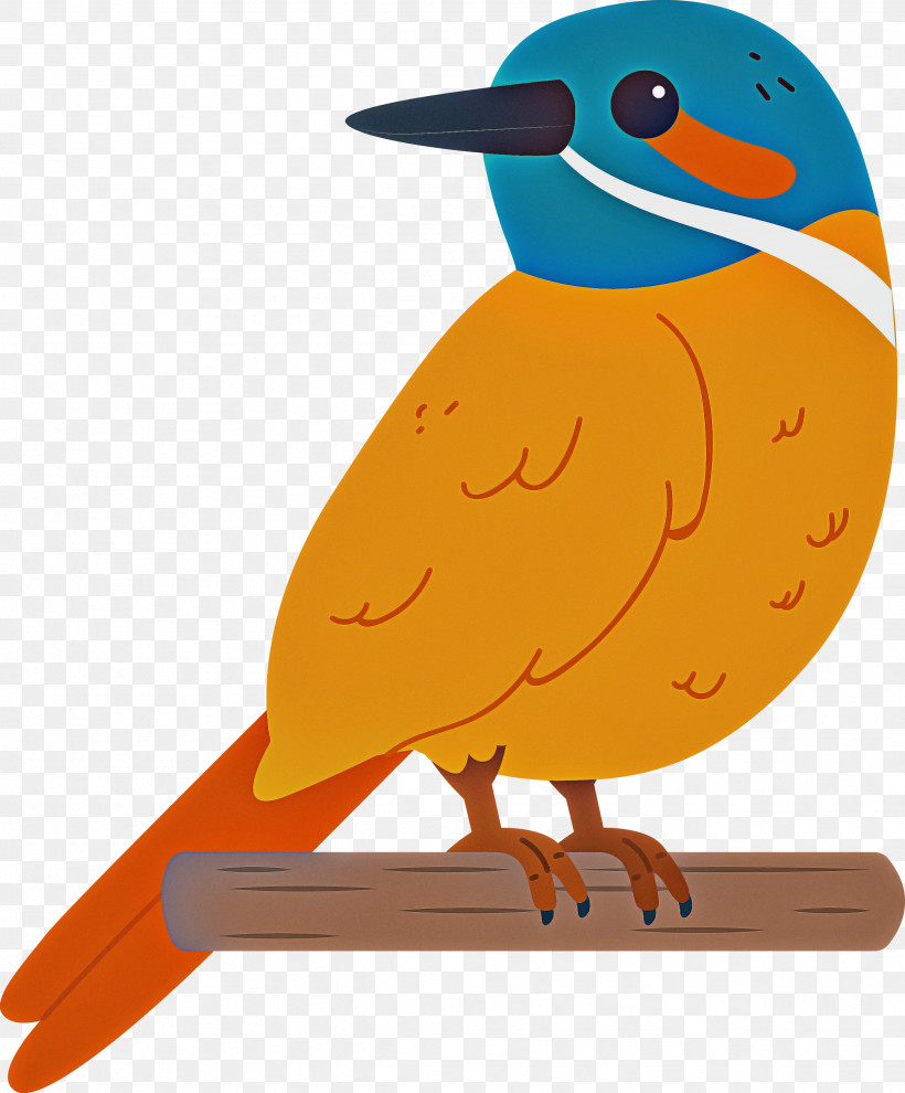 Beak Orange S.a., PNG, 2483x3000px, Bird, Beak, Cartoon Bird, Cute Bird, Orange Sa Download Free