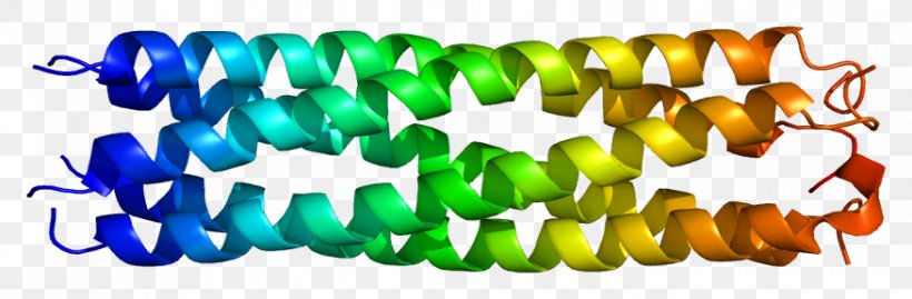 Cartilage Oligomeric Matrix Protein Extracellular Matrix Collagen, PNG, 876x288px, Watercolor, Cartoon, Flower, Frame, Heart Download Free