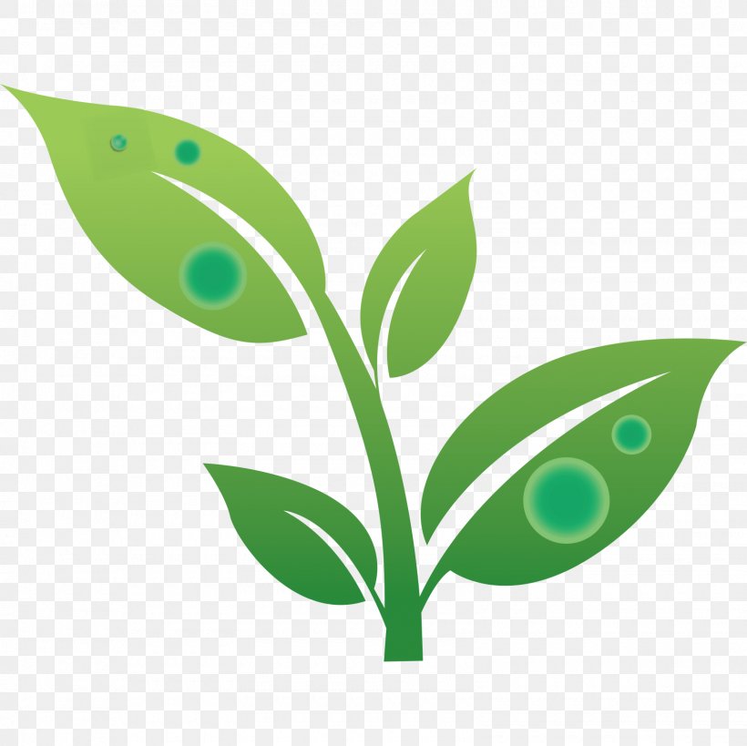 Earth Vector Graphics Clip Art Image, PNG, 1600x1600px, Earth, Flora, Grass, Green, Green Earth Download Free