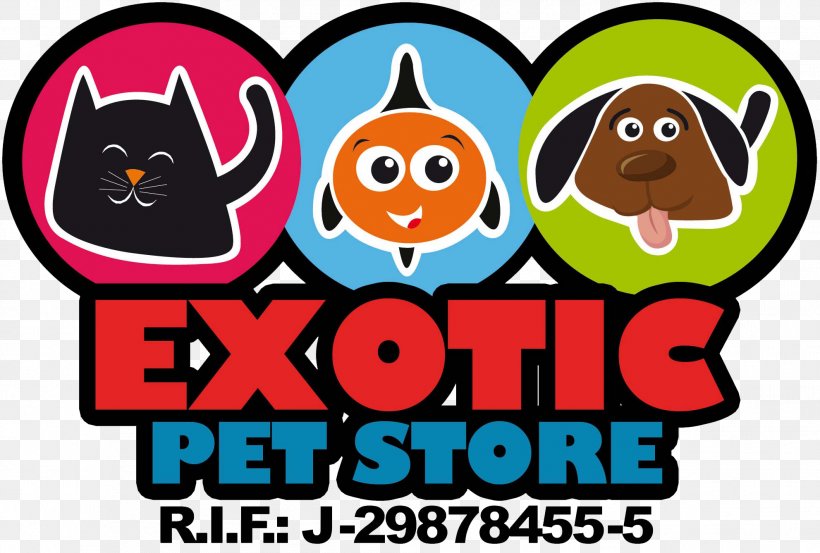Exotic Pet Store Aquarium Pet Shop Cat, PNG, 1983x1338px, Aquarium, Animal, Area, Cage, Cat Download Free