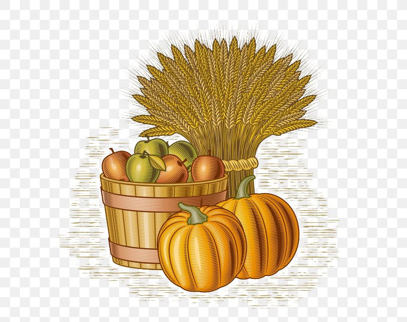 Harvest Farm Cartoon Illustration, PNG, 650x650px, Harvest, Calabaza, Cartoon, Commodity, Cucurbita Download Free