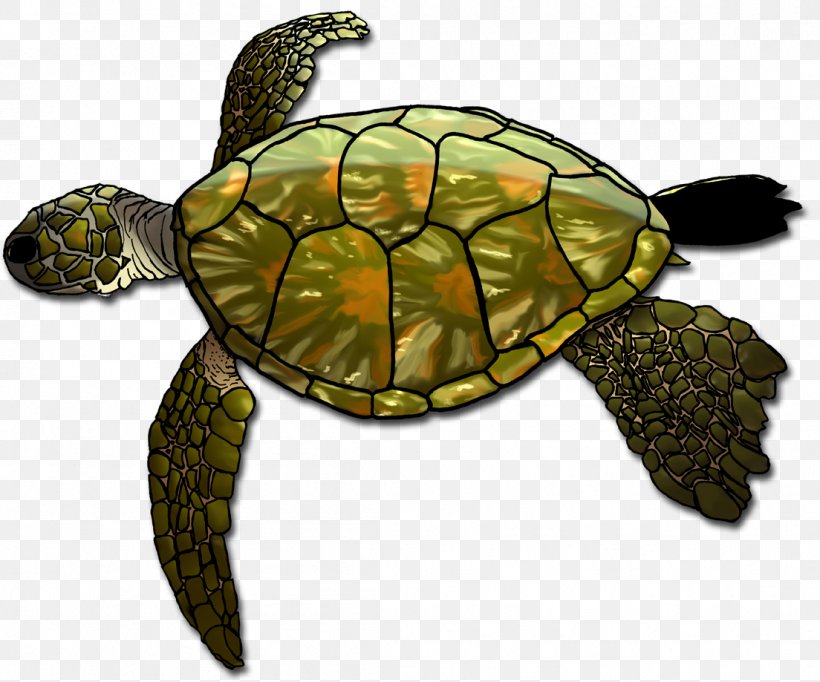 Loggerhead Sea Turtle Box Turtles Tortoise, PNG, 1104x919px, Loggerhead Sea Turtle, Animal, Art, Beagle, Box Turtle Download Free
