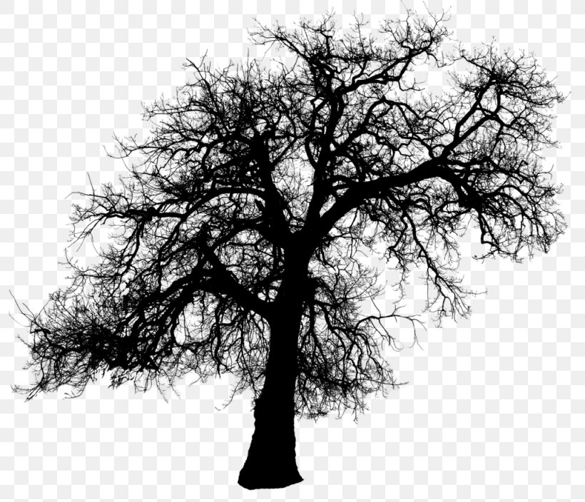 Tree Silhouette Clip Art, PNG, 1024x880px, Tree, Black And White, Branch, Deviantart, Monochrome Download Free