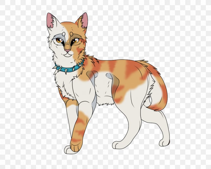 Whiskers Kitten Wildcat Red Fox, PNG, 1000x800px, Whiskers, Carnivoran, Cat, Cat Like Mammal, Dog Like Mammal Download Free