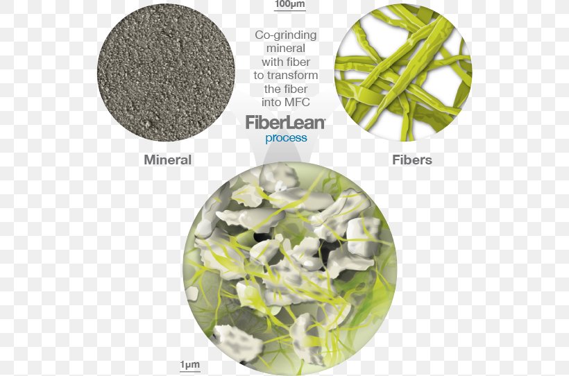 FiberLean® Technologies Ltd Plastic Keyword Research Film Producer Cellulose, PNG, 542x542px, Plastic, Calcium, Calcium Carbonate, Carbonate, Cellulose Download Free