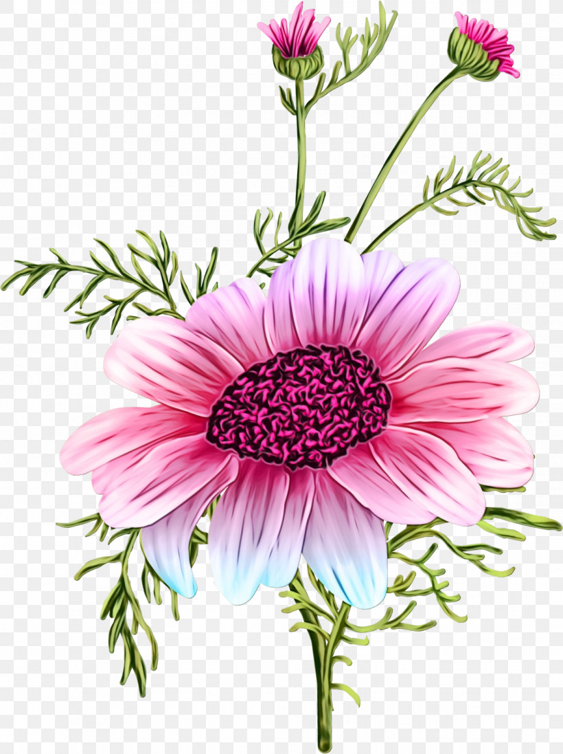 Floral Design, PNG, 1121x1500px, Watercolor, Annual Plant, Argyranthemum, Aster, Chrysanthemum Download Free