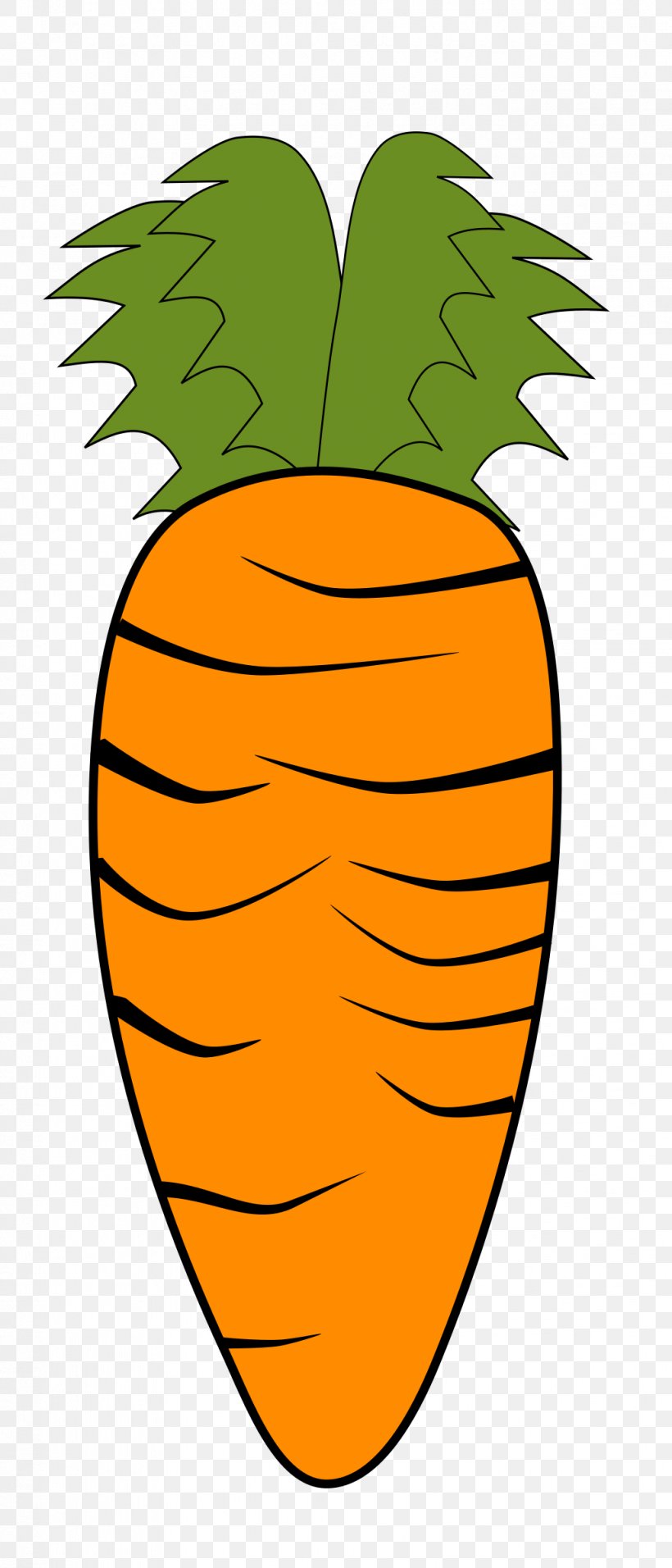 Vegetable Carrot, PNG, 1029x2400px, Vegetable, Artwork, Carrot, Flower, Flowering Plant Download Free