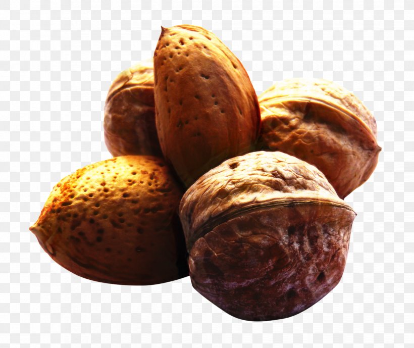 Walnut Tree, PNG, 1648x1385px, Walnut, Almond, Chestnut, Chocolate, Dried Fruit Download Free